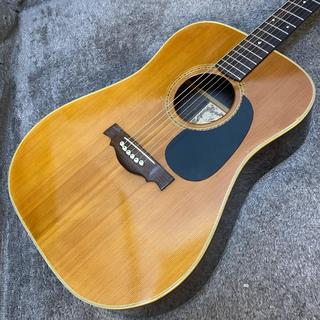 アコースティックギター／エレクトリック・アコースティックギター