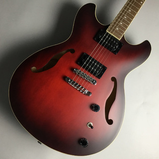 Ibanez AS53