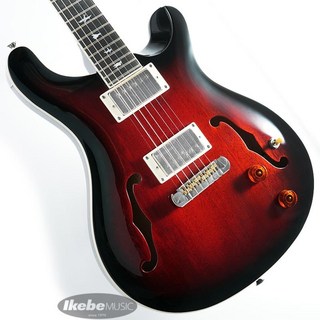 Paul Reed Smith(PRS)SE Hollowbody Standard (Fire Red Burst)