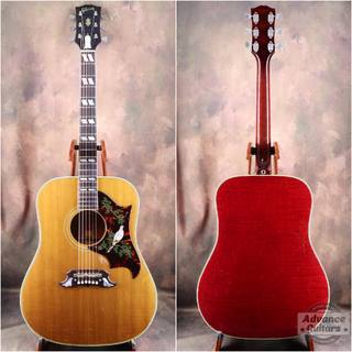 アコースティックギター、Gibson、Doveの検索結果【楽器検索デジマート】