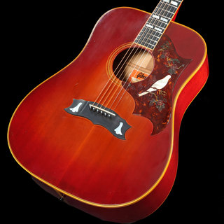 アコースティックギター、Gibson、Doveの検索結果【楽器検索デジマート】