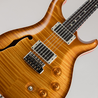 Paul Reed Smith(PRS) DGT Semi-Hollow Limited Edition "Artist Grade Top" McCarty Sunburst