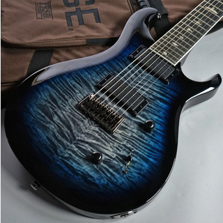 Paul Reed Smith(PRS)、SE SE Mark Holcomb SVNの検索結果【楽器検索