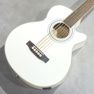 アコースティック・ベース／エレアコ・ベースの検索結果【楽器