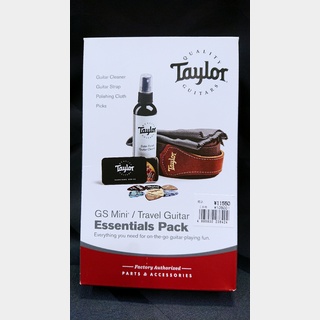 Taylor1320 GS Mini/Travel Guitar Essentials Pack