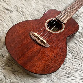 aNueNue AMM2 【コンサート/14Fジョイント】【写真現物】