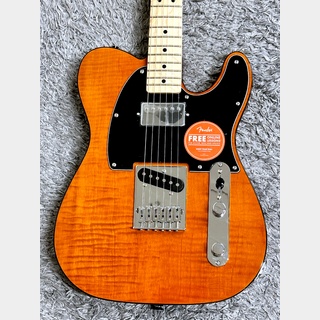 Squier by Fender Affinity Series Telecaster FMT SH Mocha / Maple【2024年最新モデル】