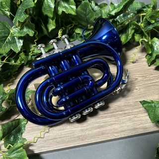 Kaerntnerの検索結果【楽器検索デジマート】