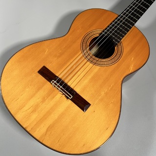 Dieter Hopf Gran Concierto　【現物写真】【ケース付き】