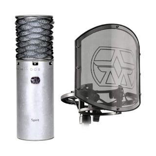 ☾*Shop Ruks★引越しの断捨離 さん専用。Aston Spirit Aston Microphonesの検索結果【楽器検索デジマート】