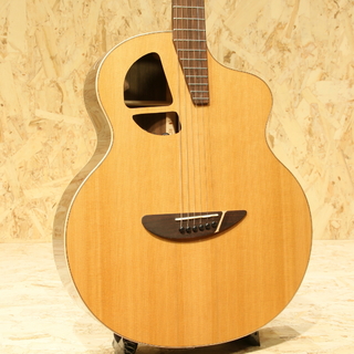 L.Luthier Le RC