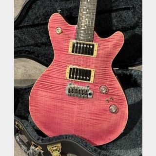 T's Guitarsの検索結果【楽器検索デジマート】