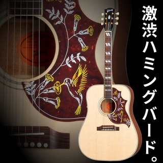 Gibson、Hummingbirdの検索結果【楽器検索デジマート】