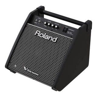 Roland PM-100 Personal Monitor