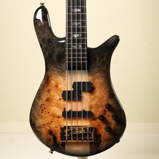 Spector EURO 5 CST -Natural Black Burst Gloss- [3.97kg]