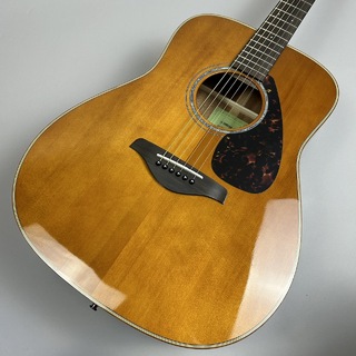 YAMAHAFGX865 T(ティンテッド) アコースティックギター 【エレアコ】島村楽器コラボレーションモデル ヤマハ