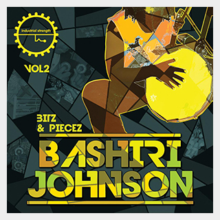 INDUSTRIAL STRENGTH BASHIRI JOHNSON - BITZ & PIECEZ VOL. 2
