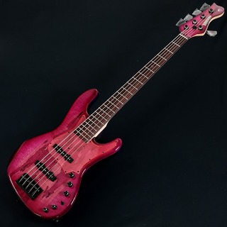 FREEDOM CUSTOM GUITAR RESEARCH、Anthra 5stの検索結果【楽器検索