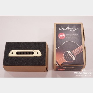 アコースティックギター／アコースティックベース用ピックアップの検索