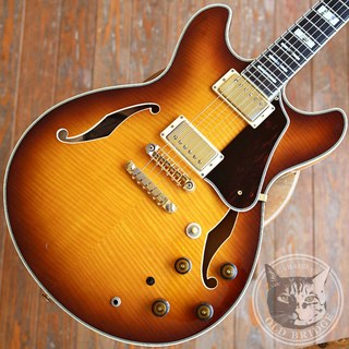 ibanez as200の検索結果【楽器検索デジマート】