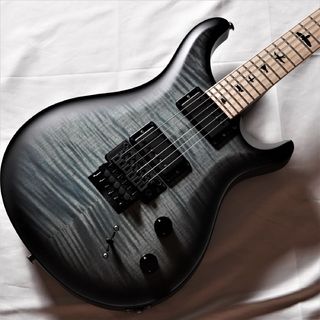 Paul Reed Smith(PRS) DW CE 24 Floyd -Faded Blue Wraparound Smokeburst-　【Dustie Waring Signature】