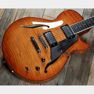 Sadowsky Semi Hollow VLB / Violin Burst