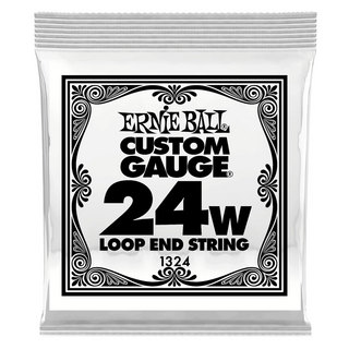 ERNIE BALL アーニーボール 1324 .024 Loop End Stainless Steel Wound バンジョーバラ弦