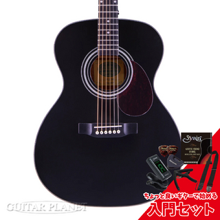 アコースティックギター／エレクトリック・アコースティックギター