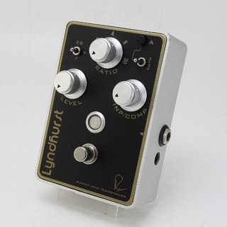 ギター Bogner Lyndhurst BOGNER ( ボグナー ) LYNDHURST / BUBINGA WOOD FINISH 送料無料