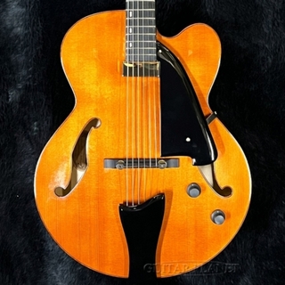 エレクトリックギター、Ibanez、セミアコの検索結果【楽器検索デジマート】