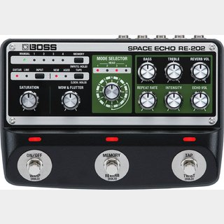 Roland RE-201の検索結果【楽器検索デジマート】