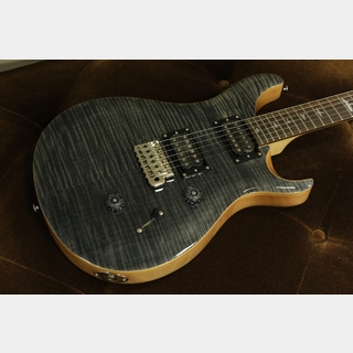 Paul Reed Smith(PRS) SE Custom 24 / Charcoal