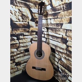 クラシック・ギター／フラメンコ・ギター、Karl Hofnerの検索結果