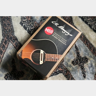 L.R.BaggsM80 Soundhole Pickup