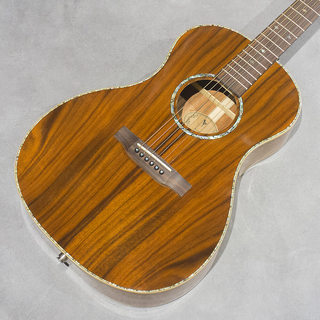 アコースティックギター／エレクトリック・アコースティックギター