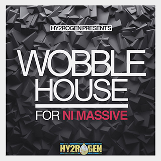 HY2ROGEN WOBBLE HOUSE FOR MASSIVE