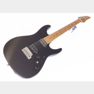 Ibanez AEL20D 2002年 USAモデル極美品 Ibanez AEL20D 2002年 USA