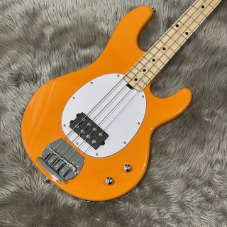 Sterling by MUSIC MAN SUB STINGRAY RAY2-M1/色Sunrise Orange/アウトレットSAL