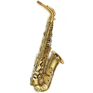 Selmer Parisの検索結果【楽器検索デジマート】