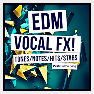 PUSH BUTTON BANG EDM VOCAL FX