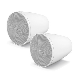 BOSE DesignMax DM5P Loudspeaker (ペア) ホワイト ペンダント型スピーカー