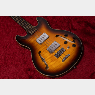 Warwick STAR BASS 4 FR 4.080kg #WPS-C-000163-11【GIB横浜】
