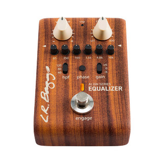 L.R.Baggs Equalizer