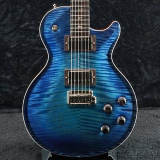 ハカランダネック PRSの検索結果【楽器検索デジマート】