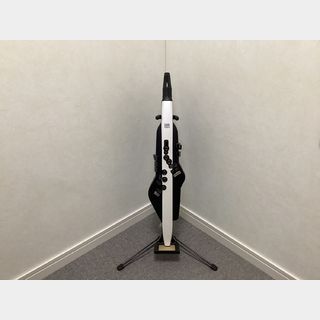 Roland AE-20【USED】【下取りがお得！】