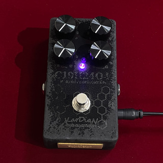 KarDiaN Crotonin 【荒々しく飛び出す黒色の存在感】