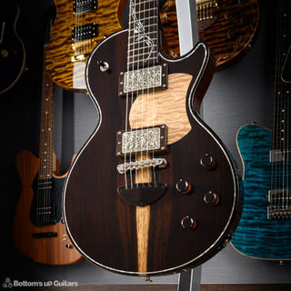 ホンジュラス・マホガニー・ネック OR Honduras Mahogany Neckの検索