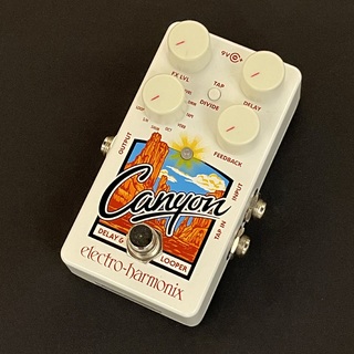 Electro-Harmonix Canyon Delay & Loopers