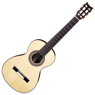 ARIA A19C-100N N ギグケース付き クラシックギター