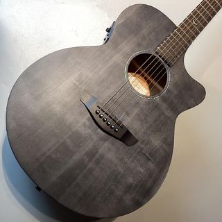 アコースティックギター／エレクトリック・アコースティックギター